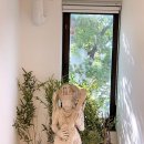 명문힐링센터 이미지