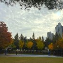 원문동(정보과학도서관 앞) 이미지