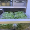 광채농장 이미지