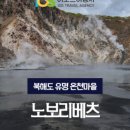 희농원 | 북해도 (노랑풍선) 26년 8월 일정