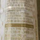 금해유통주 이미지