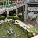 길성이백숙 - 원주시 | [충북청주] 청주 맛집 몸보신 레전드, '길성이 본점' 누룽지 닭백숙 세트 솔직 후기!