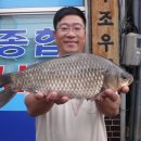 독조골 Daum카페