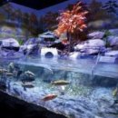 섬진강어류생태관 이미지