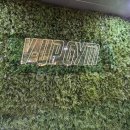 브이업짐 우장산점 | 우장산역헬스장 추천 브이업짐 우장산헬스장 직접 다녀본 후기