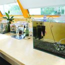 충주자연생태체험관(1층) 이미지