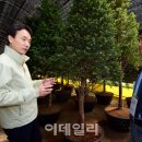 서산임산임업
