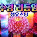 천수경 리듬염불/성우스님/kbmtv영상김감독 이미지