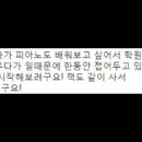 기본의기본