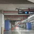 [수원 광교] 퍼센트왁싱샵, 페이스왁싱 후기