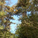 산새체육공원 이미지