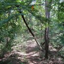 구림 금평교 이미지