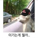 이건 아마도 열린 결말 같은 걸