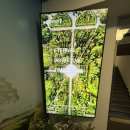 엠레드의원 이미지