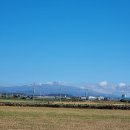 무릉외갓집 이미지