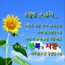 8월 31일~9월 1일 토,일요일 이미지