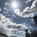 산채식당 | 구례 숨겨진 현지인 맛집 다슬기 수제비 산채식당 내돈내산 후기