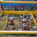 두만강호 이미지