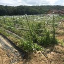 어사농장 이미지