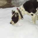 오공이 농장 이미지