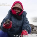 꿈꾸는땅