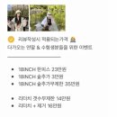 붙임머리 잘하는 곳 | 부산 붙임머리 | 웨딩촬영 전 붙임머리 | 엔비오오 nboo