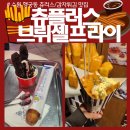 [수원 행궁동 간식 추천] 츄러스 맛집 츄플러스 &amp; 감자튀김 맛집 - 브뤼셀프라이 수원행궁본점 (치폴레...