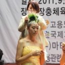 귀부인미용실 - 김제시 | 귀부인미용실