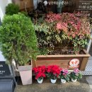 남천해물왕칼국수 | 부산수영구맛집 남천동칼국수맛집 남천해물왕칼국수