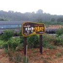 인양양초장 이미지