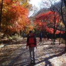 개운중학교 이미지