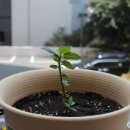 튼튼이농장 이미지