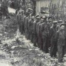 [중국vs베트남 전쟁] 잘모르시는분들 그냥한번 읽어보세요 재밌네요 ㅎㅎ(중국군 캐굴욕사진 포함) 이미지
