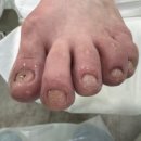 레푸스앤두두뷰티