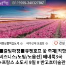 투어 여행에서 가이드를 잘 만나야 하는 이유---참좋은 여행의 경우