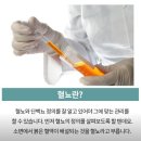 다산수내과의원 네이버블로그