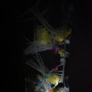 트리노드 주식회사 이미지