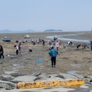 서산 중리어촌체험마을, 충남 유일 ‘7월 가볼 만한 곳’ 선정(서산태안신문) 이미지