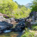 월성농산 - 부산진구 백양순환로10번길 13-1 | 월성농산