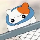 전주토종순대국 이미지