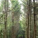 명성유스타운 이미지