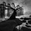 스마트폰 마스터클래스 이미지