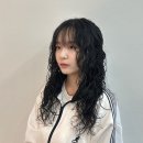 세렌디피티헤어 이미지