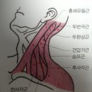 원미한의원 이미지