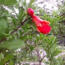 병현농장 이미지