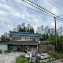 유멜리플라워