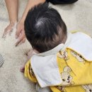 꿀댕 | [롯데마트 청라점] 24년도 겨울학기 : 신기한 오감 점프 베베(권예진 선생님)