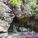 비둘기 펜션 이미지