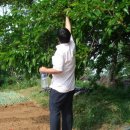 용일농장 이미지