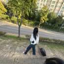 솜마(나) 이미지